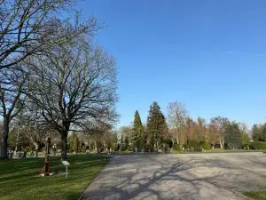 WhatsApp Image 2026-04-11